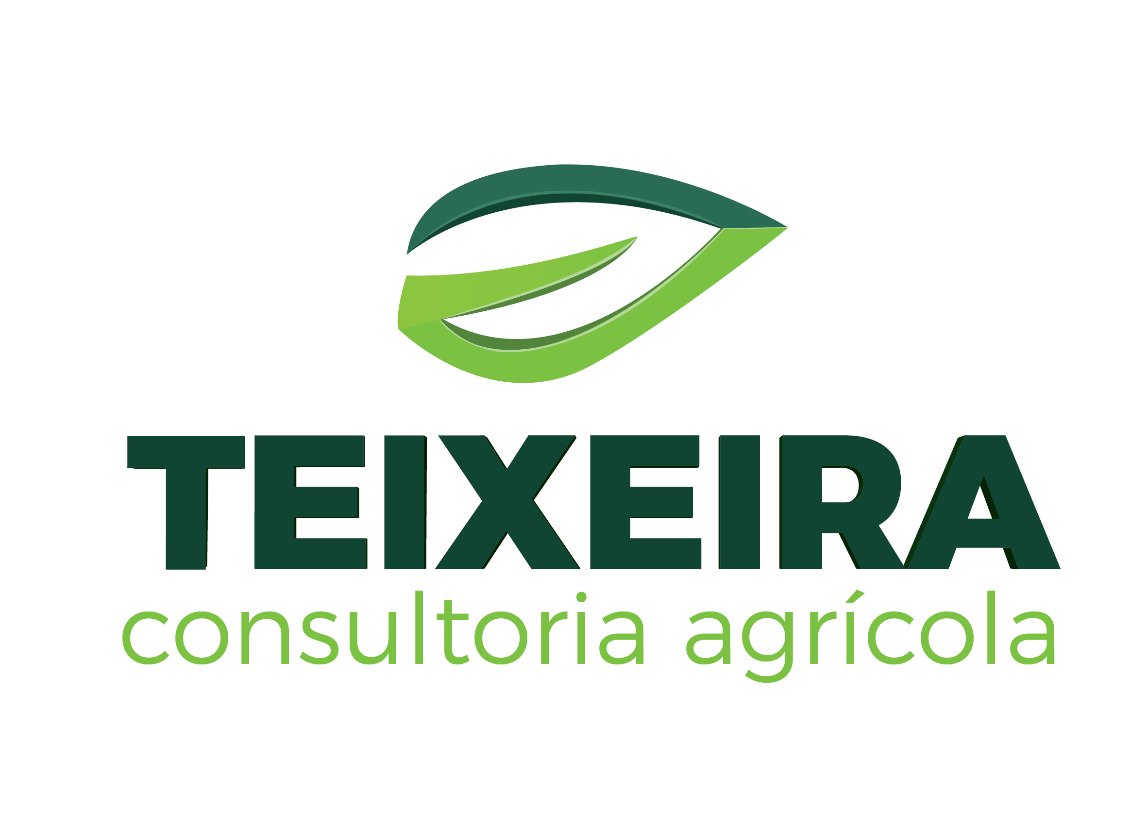 Teixeira Consultoria